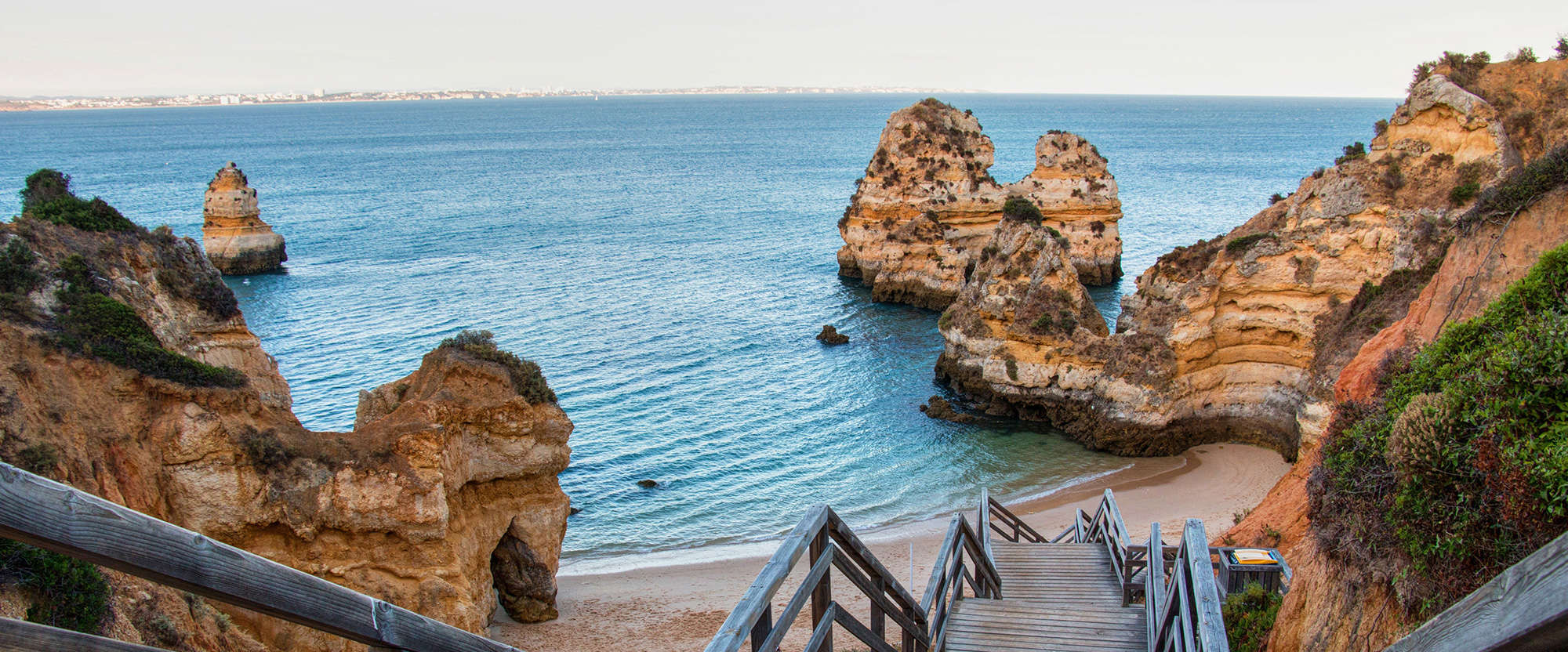 Image Faro