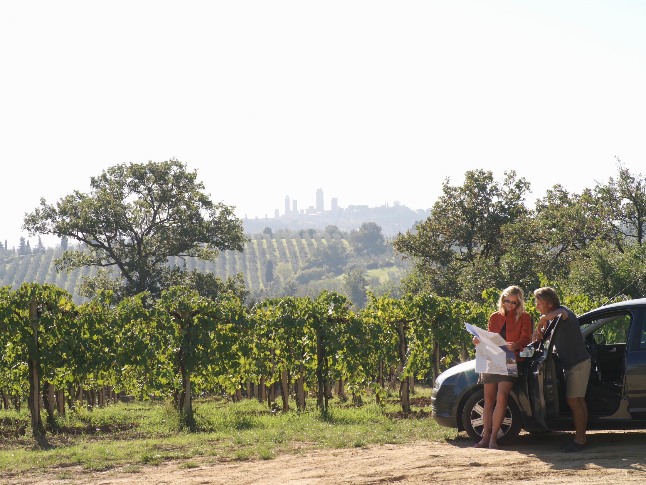 Italy, Tuscany, October 2006. San Gimignano skyline in background
