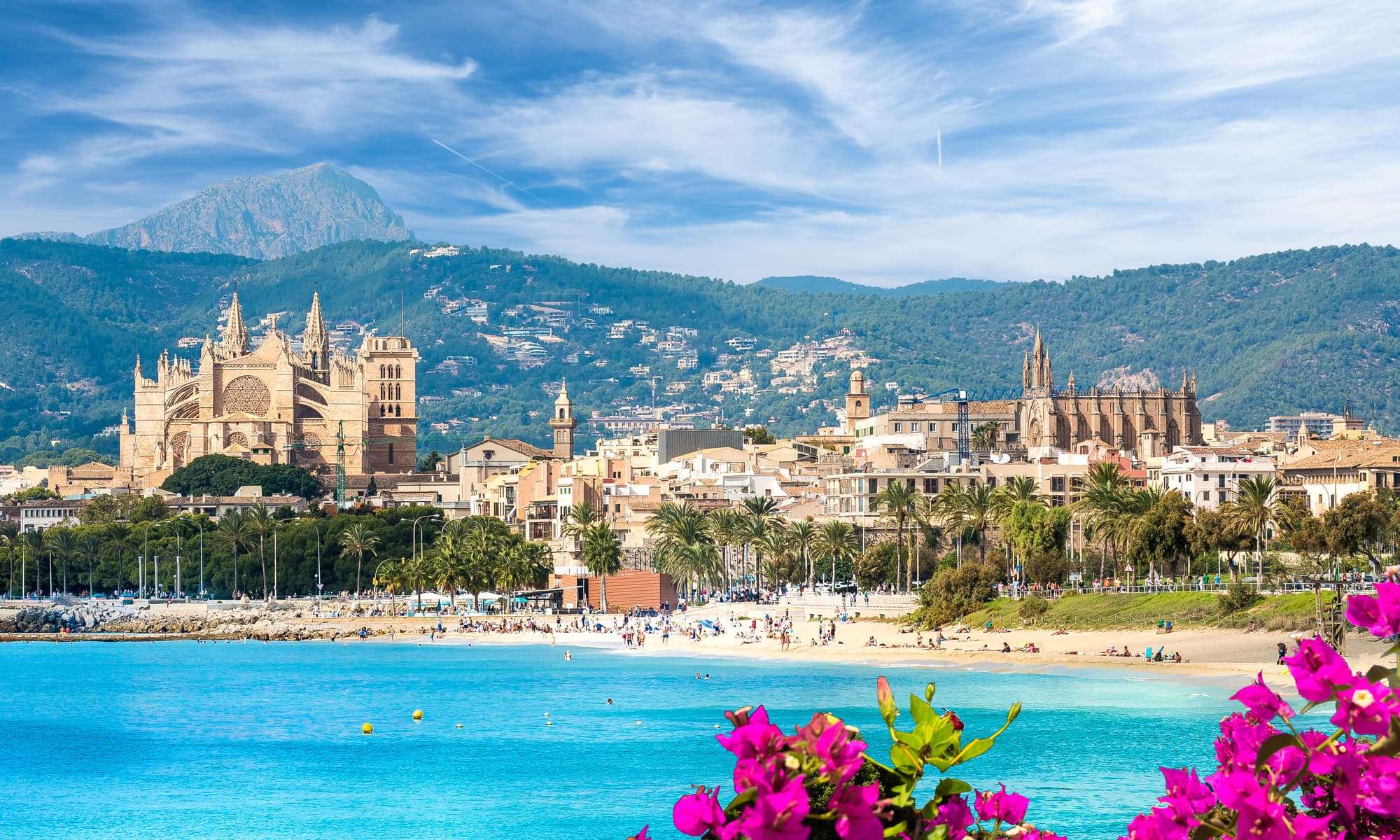 Palma