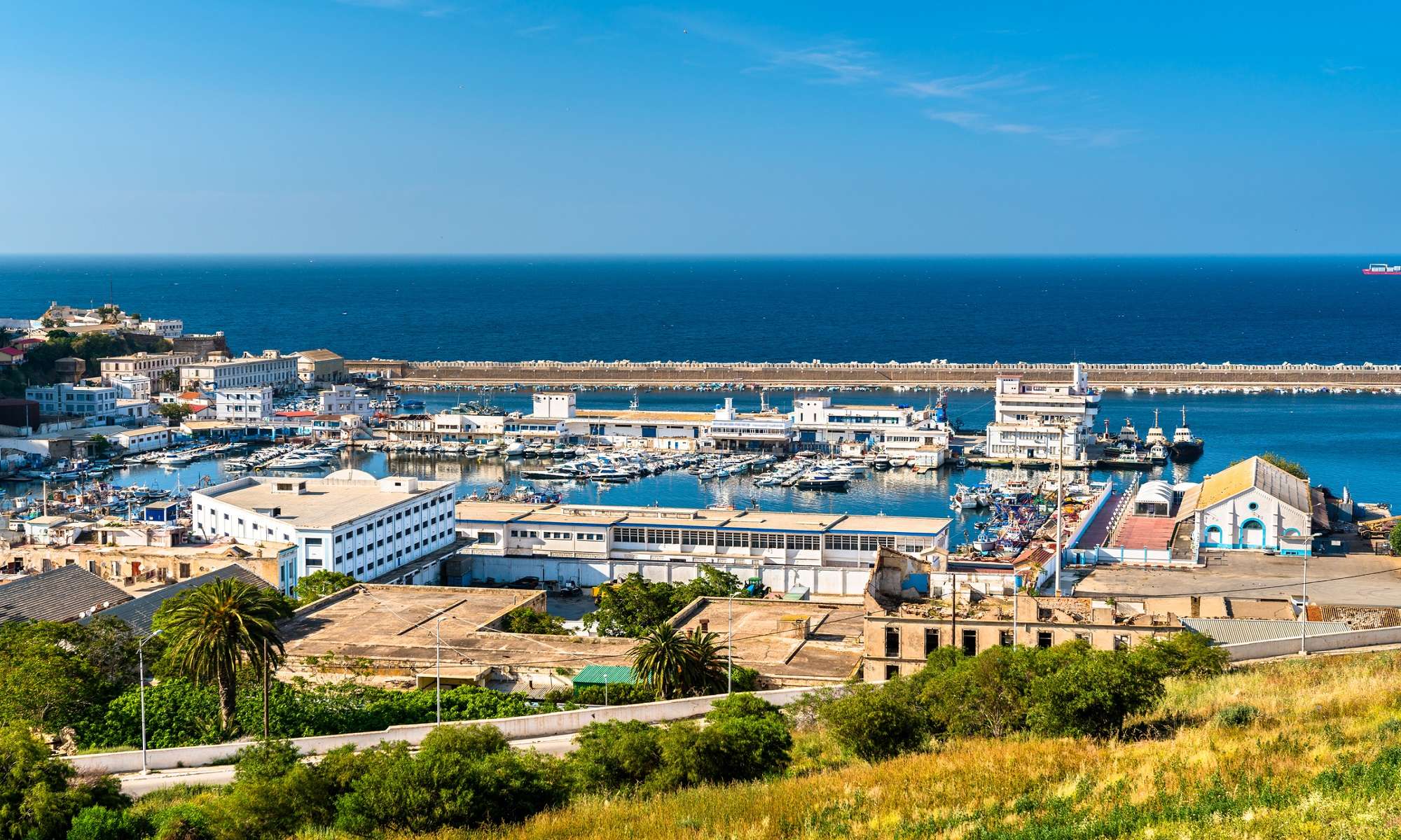Oran